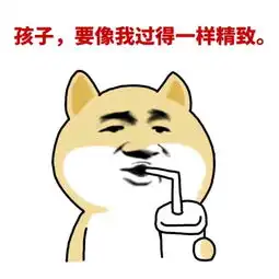 都是第一次结婚没经验每日轻松一刻12月2日晚间版