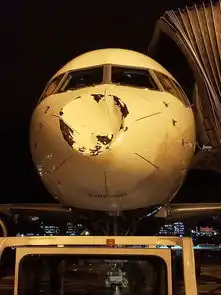 在半空撞到什么美国达美航空客机机头现巨大凹陷