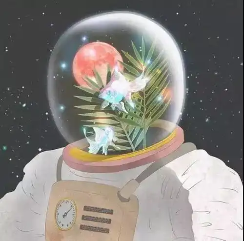 100张撩人高清插画头像,你最最最想要的五大系列