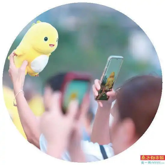 小奶龙的夕阳与人海