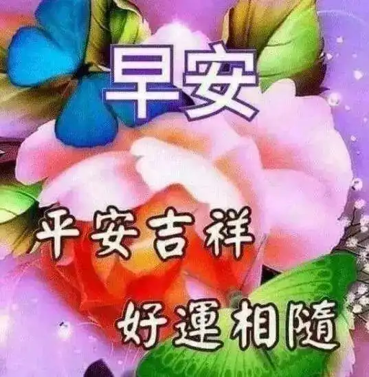 经典励志早安心语致正在为梦想拼搏的人