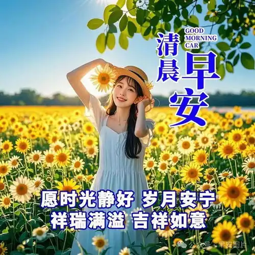 今天最漂亮的祝福语集锦,初秋最唯美的早上好图片表情快乐早安悠然幸福人生大自然网易订阅