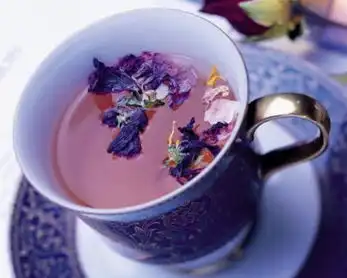茶vs茶饮料
