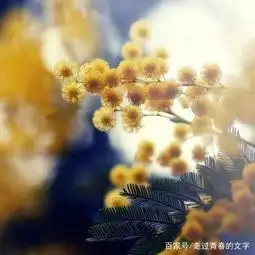 关于幸福的经典语录,句句精品
