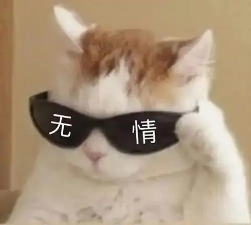 猫咪发情了怎么办狠一点对它好