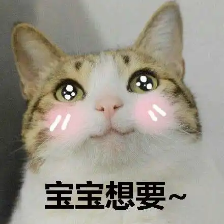大牌气垫颤抖吧污王nars推出史上最适合亚洲女孩的水光气垫