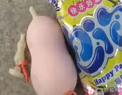 宫崎骏所属动画工作室因财务压力停摆