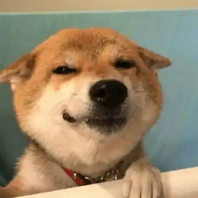 可可爱爱的柴犬头像