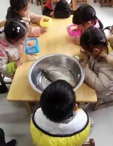 老师要求树叶上写拼音小学生扛芭蕉叶交作业