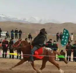 雪山脚下万马奔腾第四届全国少数民族天祝藏族自治县赛马大会暨二月二岔口驿传统赛马会开幕