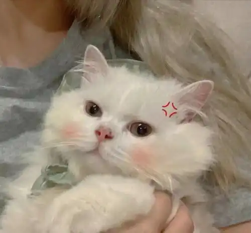 甜妹专属头像