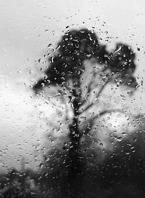 雨天手机创意摄影的13个案例