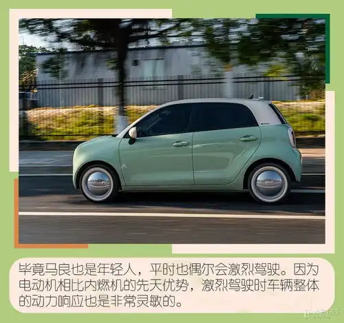 欧拉黑猫到底有什么魔力买它要注意什么