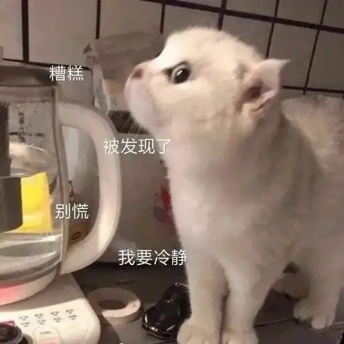 可以发在朋友圈的可爱文案