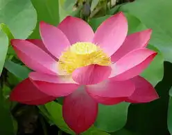 瑰丽mtime时光网