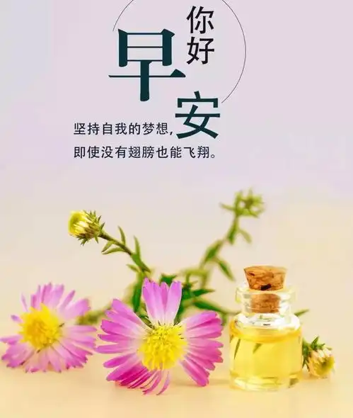 朋友圈阳光向上的早安心语,读一读激励自己,为了美好的生活努力