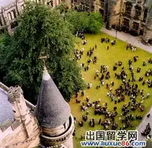 2014美国社交礼仪禁忌的相关文章推荐