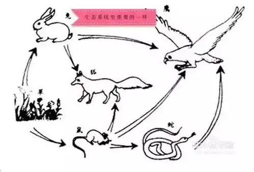 鼠年到,提前给大家拜年啦