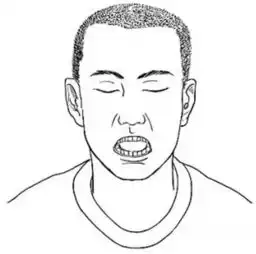 青春不老真的可以实现7种心肾相交养肾法告诉你结果