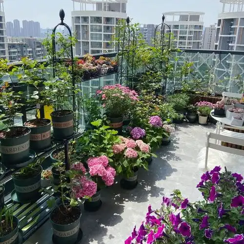 养花的旧土加点废物,又肥的流油,养花一级棒