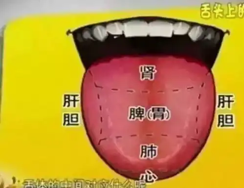 舌头的告白是时候展现真正的技术了