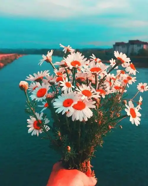 2021很经典的人生智慧语录,看完醍醐灌顶