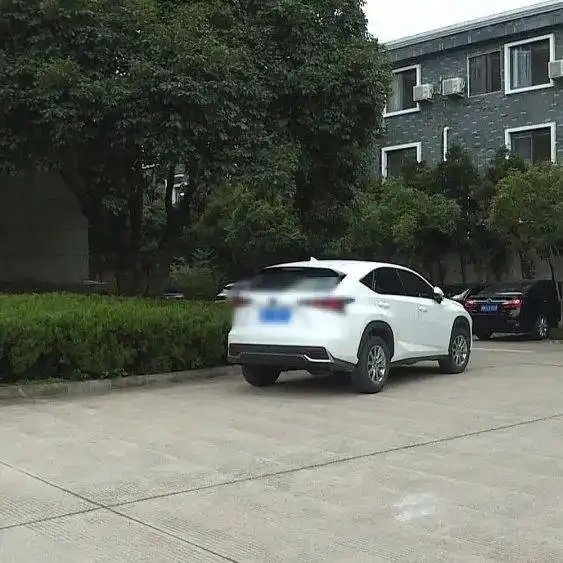 停车有讲究行政机关事业单位与国有企业都按箭头方向停车