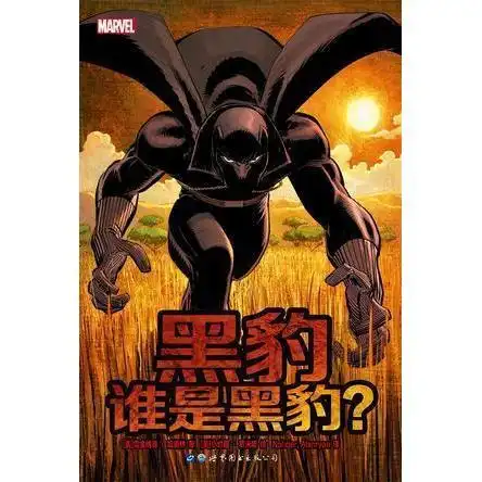 黑豹谁是黑豹书籍