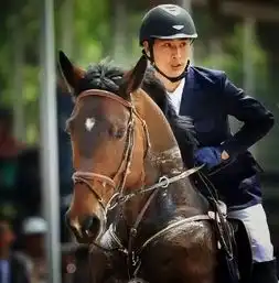 悦马会马术行业的标准制定者附课程表收藏