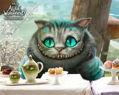 妙妙猫2mtime时光网