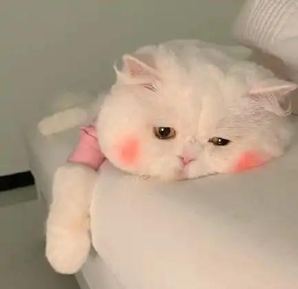 望江女孩溺亡警察尽到力了吗
