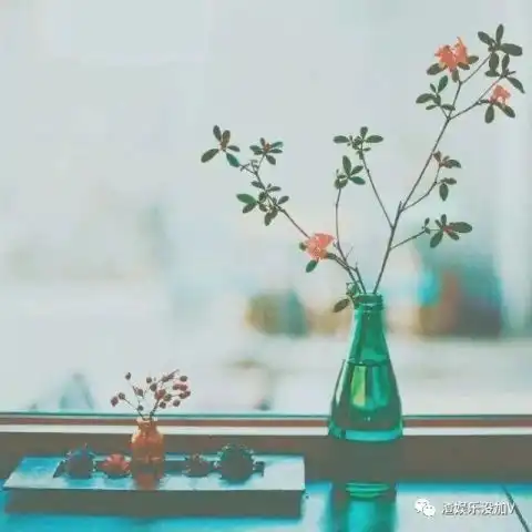 测试一个超长简介的文章