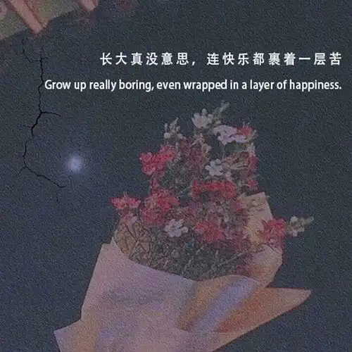 酷拽且高冷的个性句子,字字犀利,值得一看
