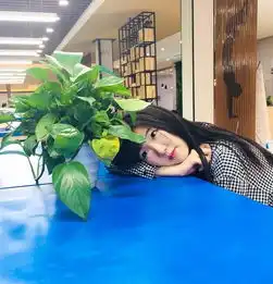 在红油汤里流浪