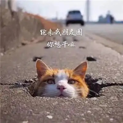 新乡名片设计拼多多咸鱼无货源店群群控软件招商时间财富网