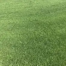 黄页88网