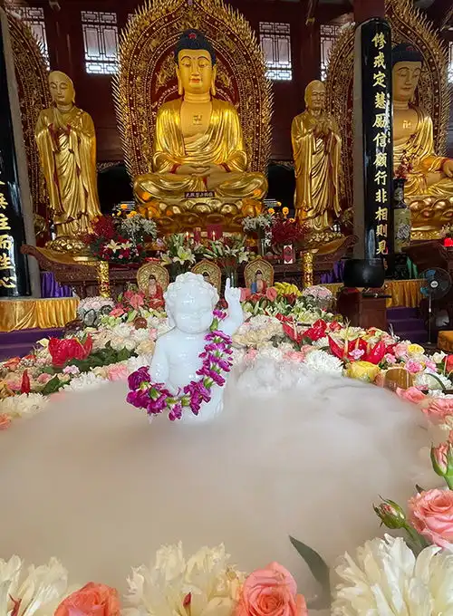 2021佛诞日直击各地佛寺浴佛现场,同沾法喜获福无量