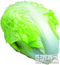 广州检出120吨含甲醛白菜