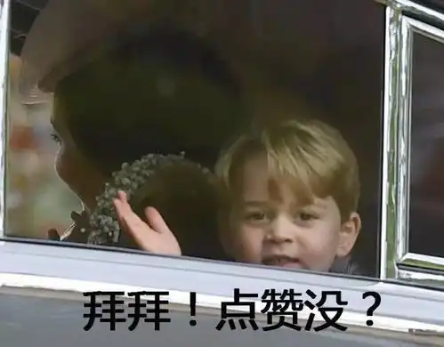 乔治小王子实力抢镜王妃这次那么美,也输给了儿子的傲娇...