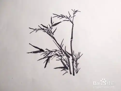 竹子怎么用速写画法画出来如何画竹子简笔画