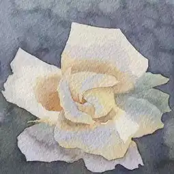 画玫瑰,他一画就是二十年,太美了
