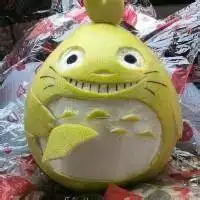 可爱柚子头像微信头像图片大全