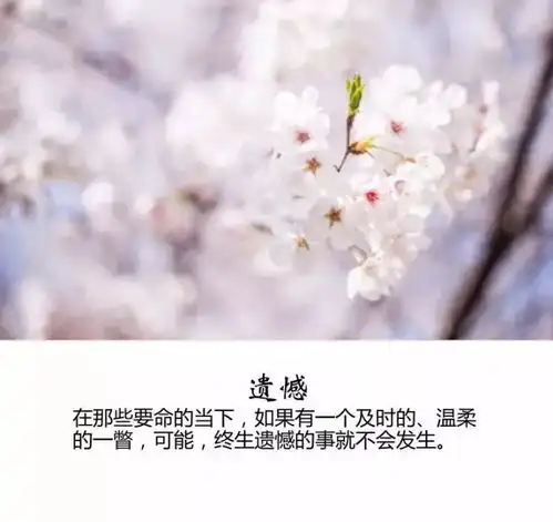 美文欣赏发现美好,感恩拥有