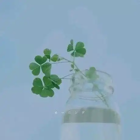 希望你任何时候都不缺从头再来的勇气