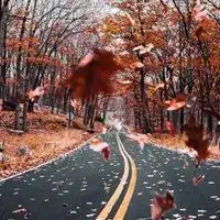 秋意图片伤感图片深秋伤感意境的图片
