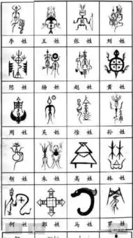 一姓一张图我姓孙,哪里能找到图片