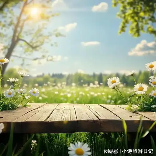 今日标讯济南高新区历史遗留废弃露天矿山治理工程设计项目