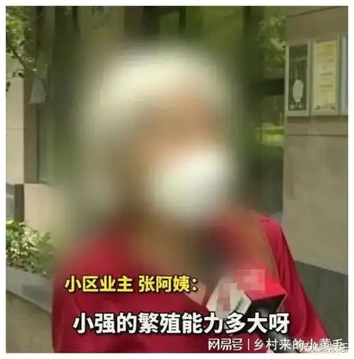 恶心女网红在小区内放生数百只大蟑螂,恬不知耻名曰不杀生