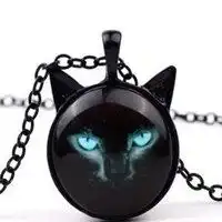 微信头像黑猫蓝眼微信头像图片大全