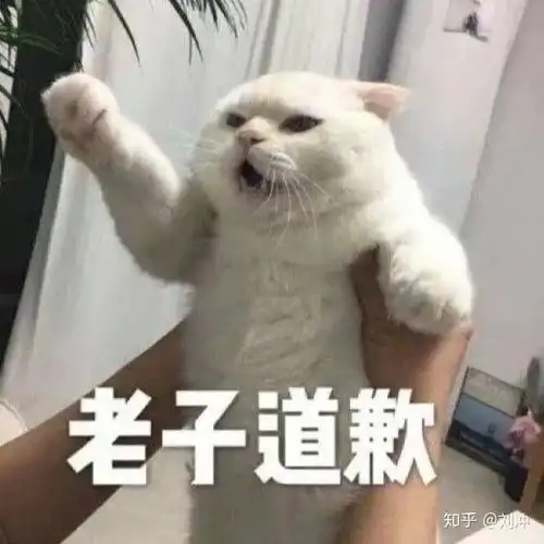如何评价章若楠个人